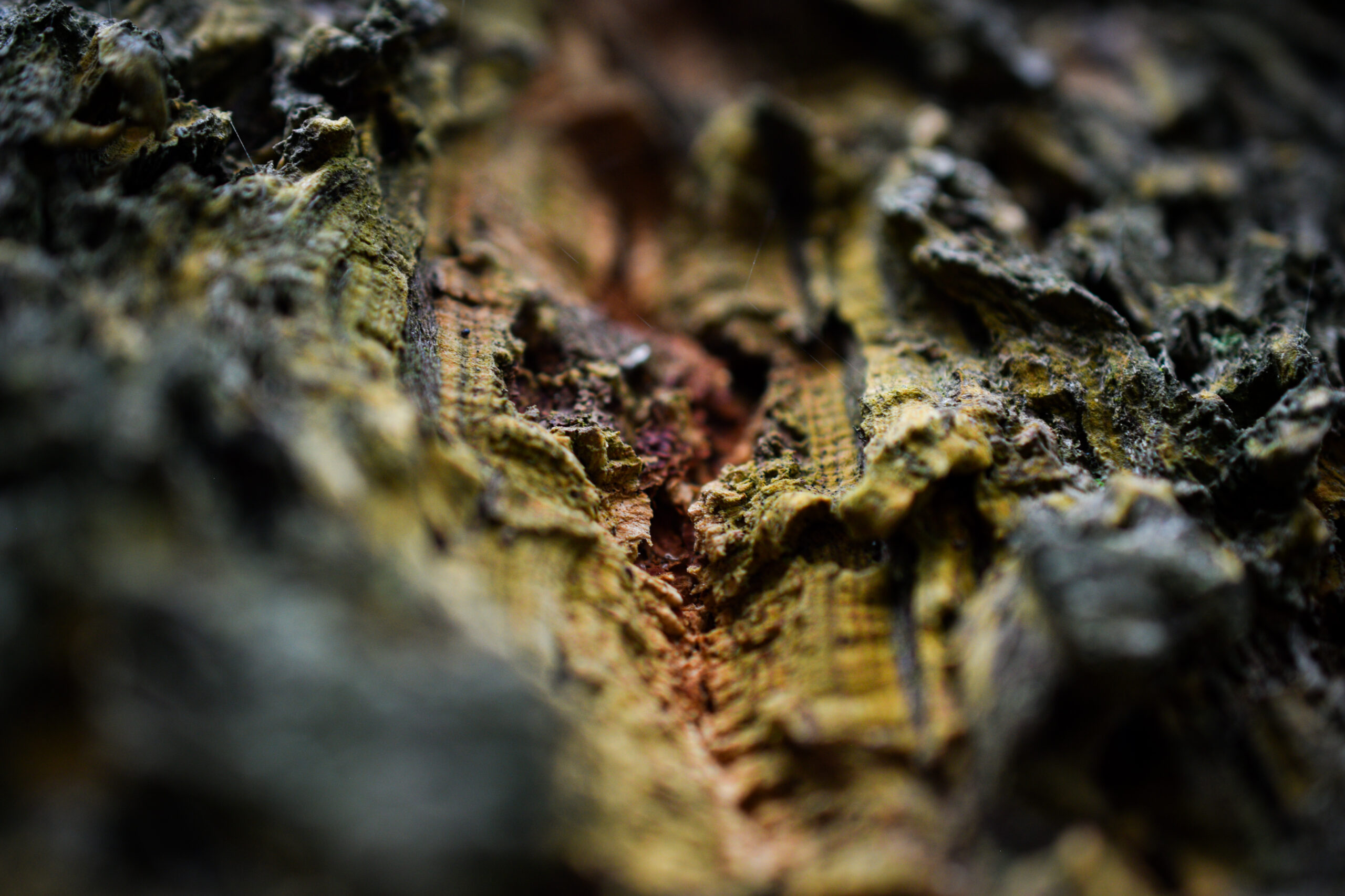 Textures & Abstracts